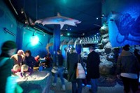 Хельсинский океанариум Sea Life расширяется