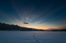 Хорошее самочувствие и прогулки