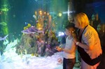 Аквариум Sea Life