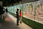 Тропический дом животных Tropicario